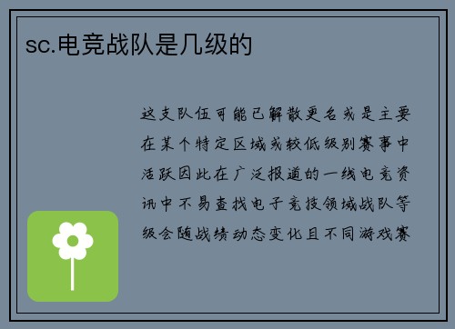 sc.电竞战队是几级的